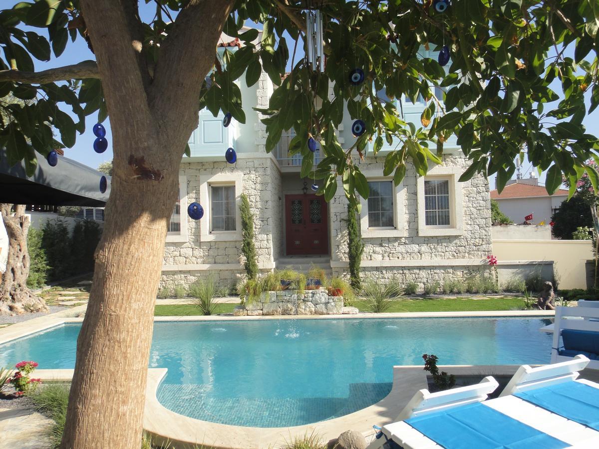 Cassiopeia Hotel אלאקאטי מראה חיצוני תמונה