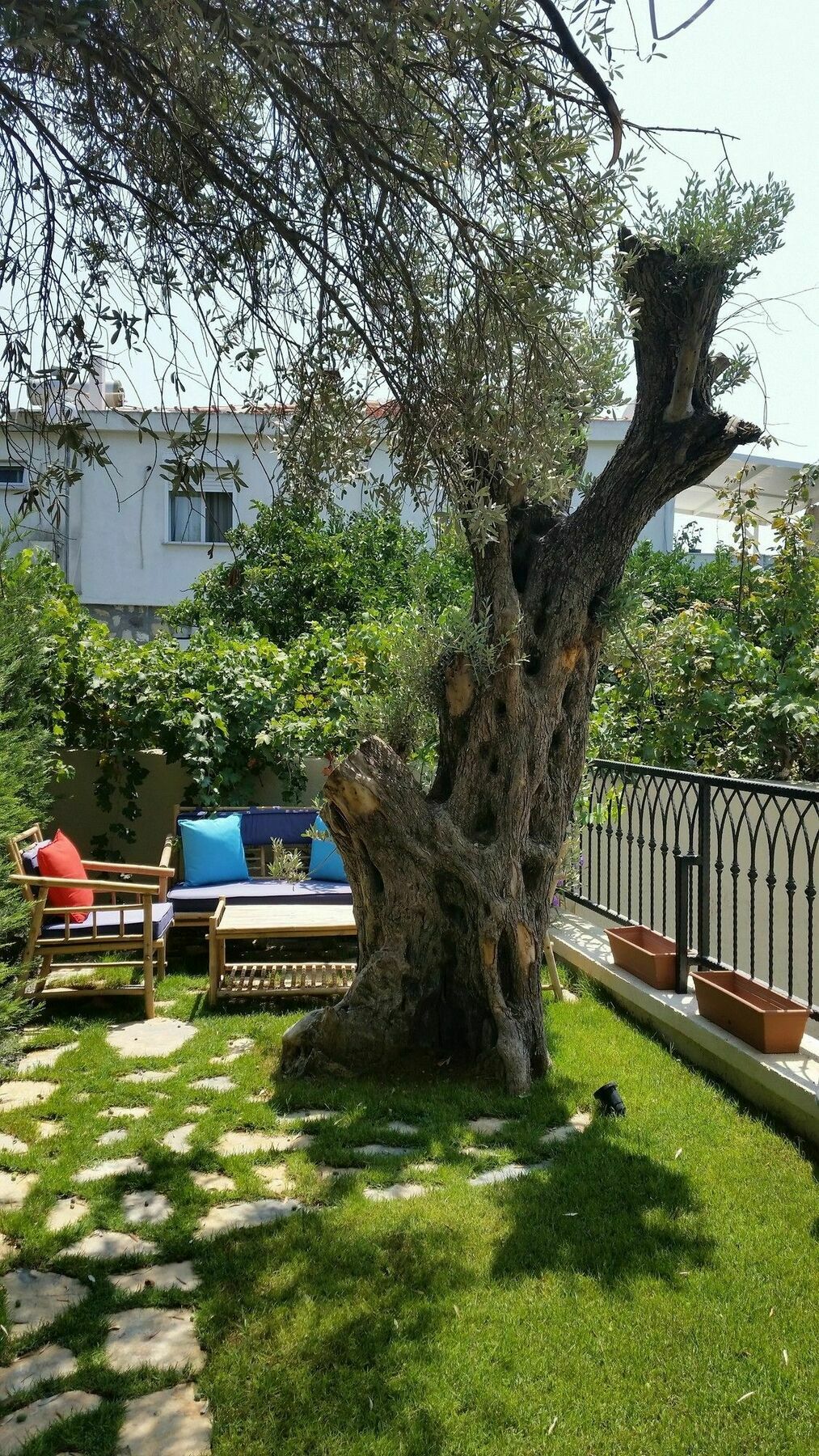 Cassiopeia Hotel אלאקאטי מראה חיצוני תמונה