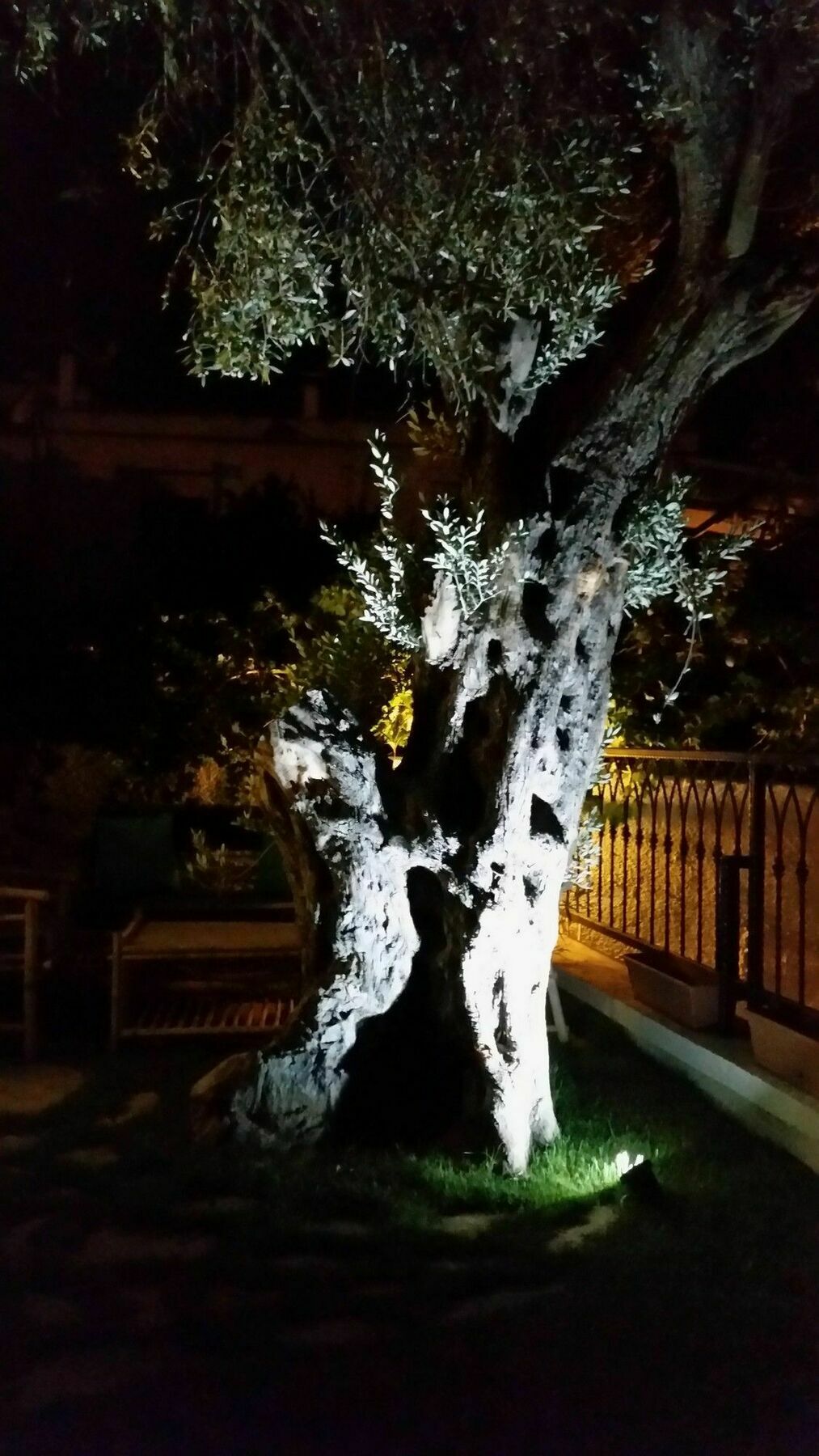 Cassiopeia Hotel אלאקאטי מראה חיצוני תמונה