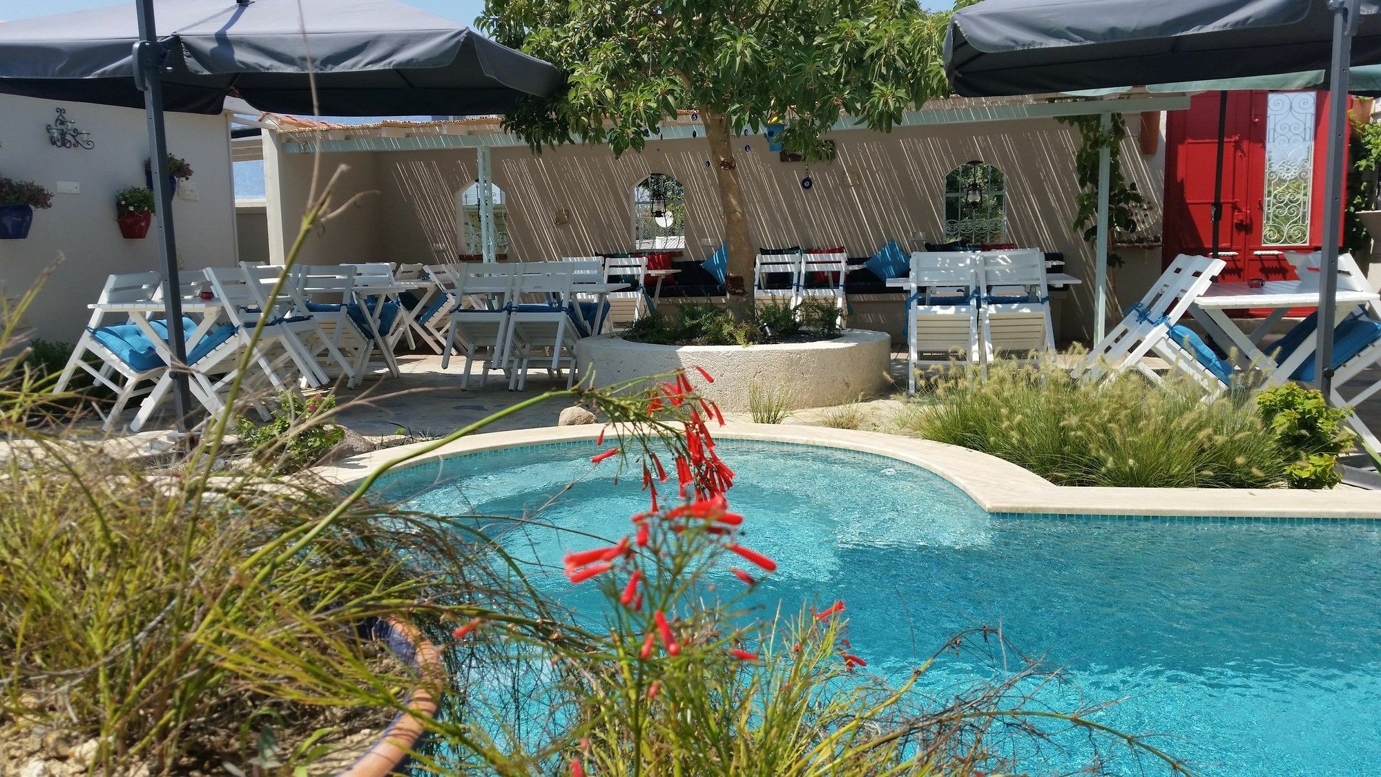 Cassiopeia Hotel אלאקאטי מראה חיצוני תמונה