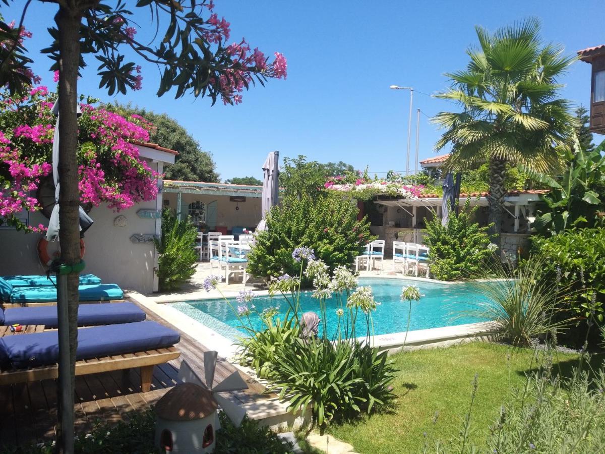 Cassiopeia Hotel אלאקאטי מראה חיצוני תמונה