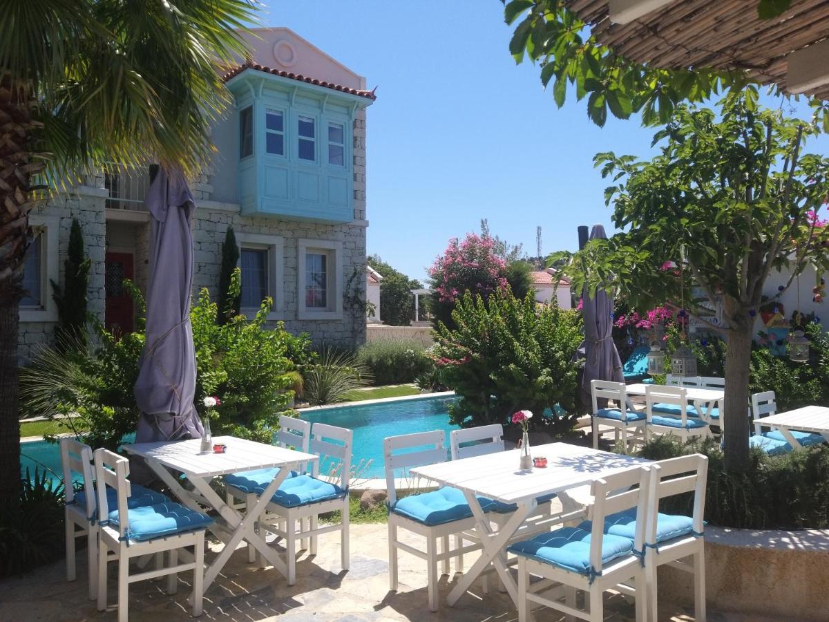 Cassiopeia Hotel אלאקאטי מראה חיצוני תמונה