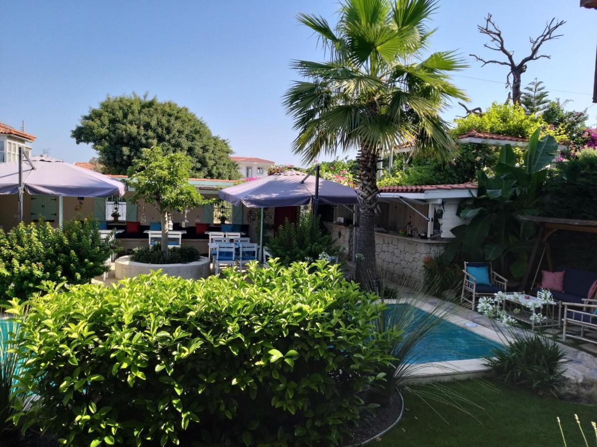 Cassiopeia Hotel אלאקאטי מראה חיצוני תמונה