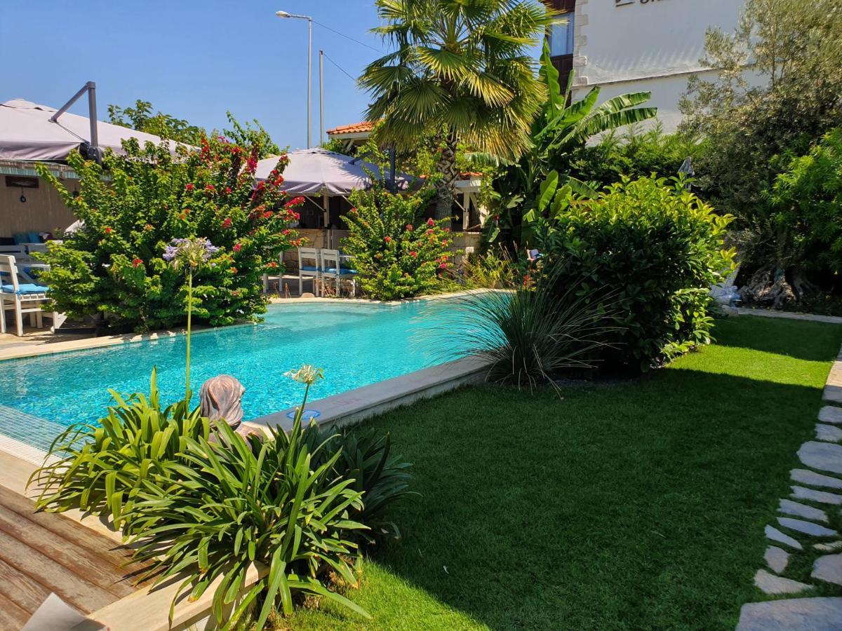 Cassiopeia Hotel אלאקאטי מראה חיצוני תמונה