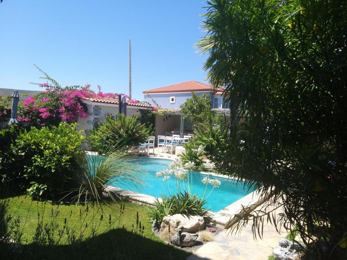 Cassiopeia Hotel אלאקאטי מראה חיצוני תמונה
